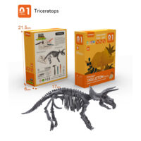 TRICERATOPS EXCAVACION DE FOSIL